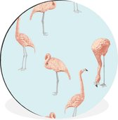 WallCircle - Wandcirkel - Muurcirkel - Natuur - Patroon - Flamingo - Aluminium - Dibond - ⌀ 60 cm - Binnen en Buiten