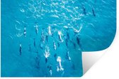 Stickers Stickers muraux - Dauphin - Water - Mer - 60x40 cm - Feuille adhésive