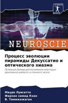 Процесс эволюции пирамиды Декуссатио и оп