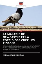 La Maladie de Newcastle Et La Coccidiose Chez Les Pigeons