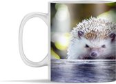 Mok - Twee egels zitten op tak - 350 ml - Beker