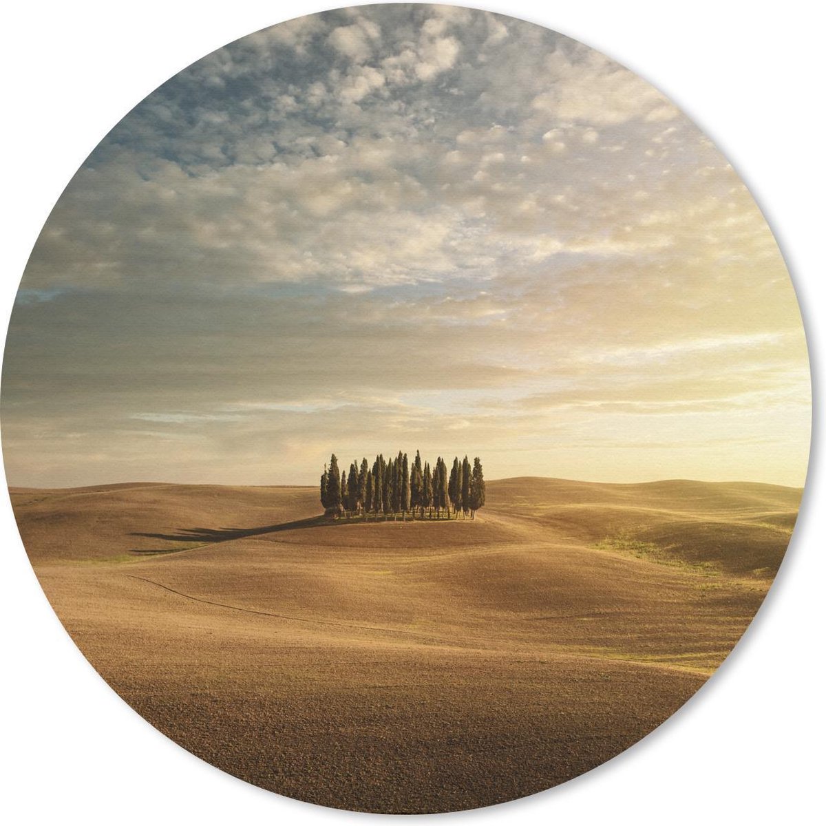 Muismat rond 50x50 cm - Mousepad Toscane - Bomen - Italië - Ronde muismatten