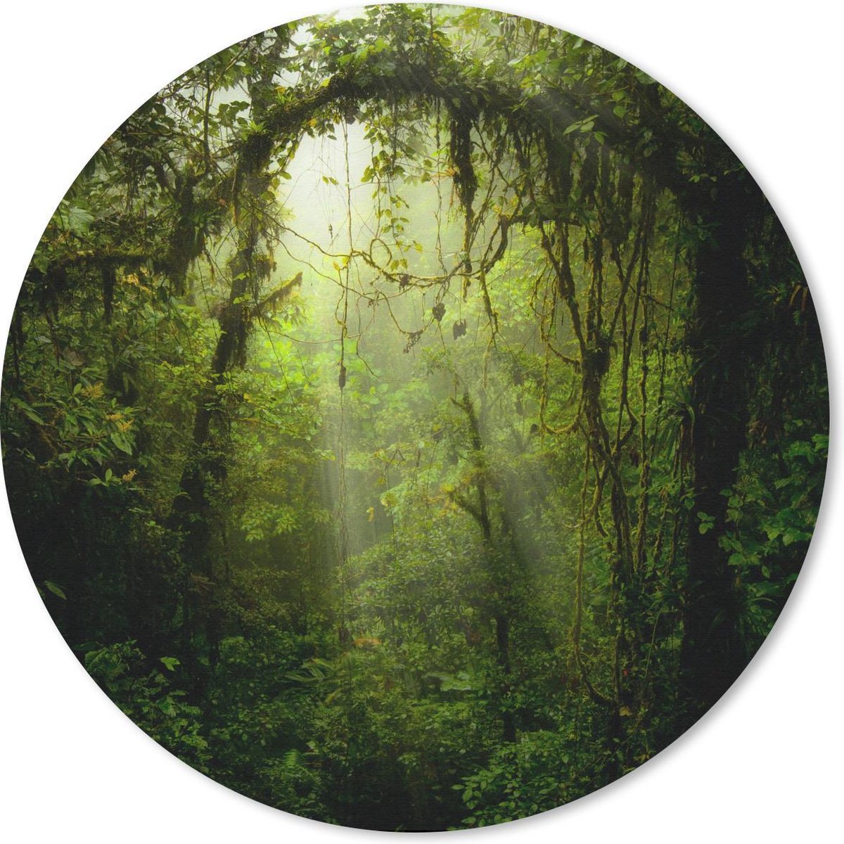 Muismat rond 40x40 cm - Mousepad Zonnestralen glippen door het tropische bladerdak - Ronde muismatten