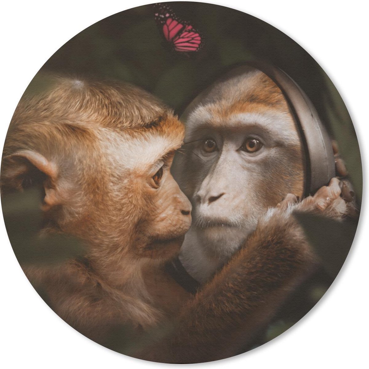 Muismat rond 40x40 cm - Mousepad Dieren - Apen - Natuur - Ronde muismatten