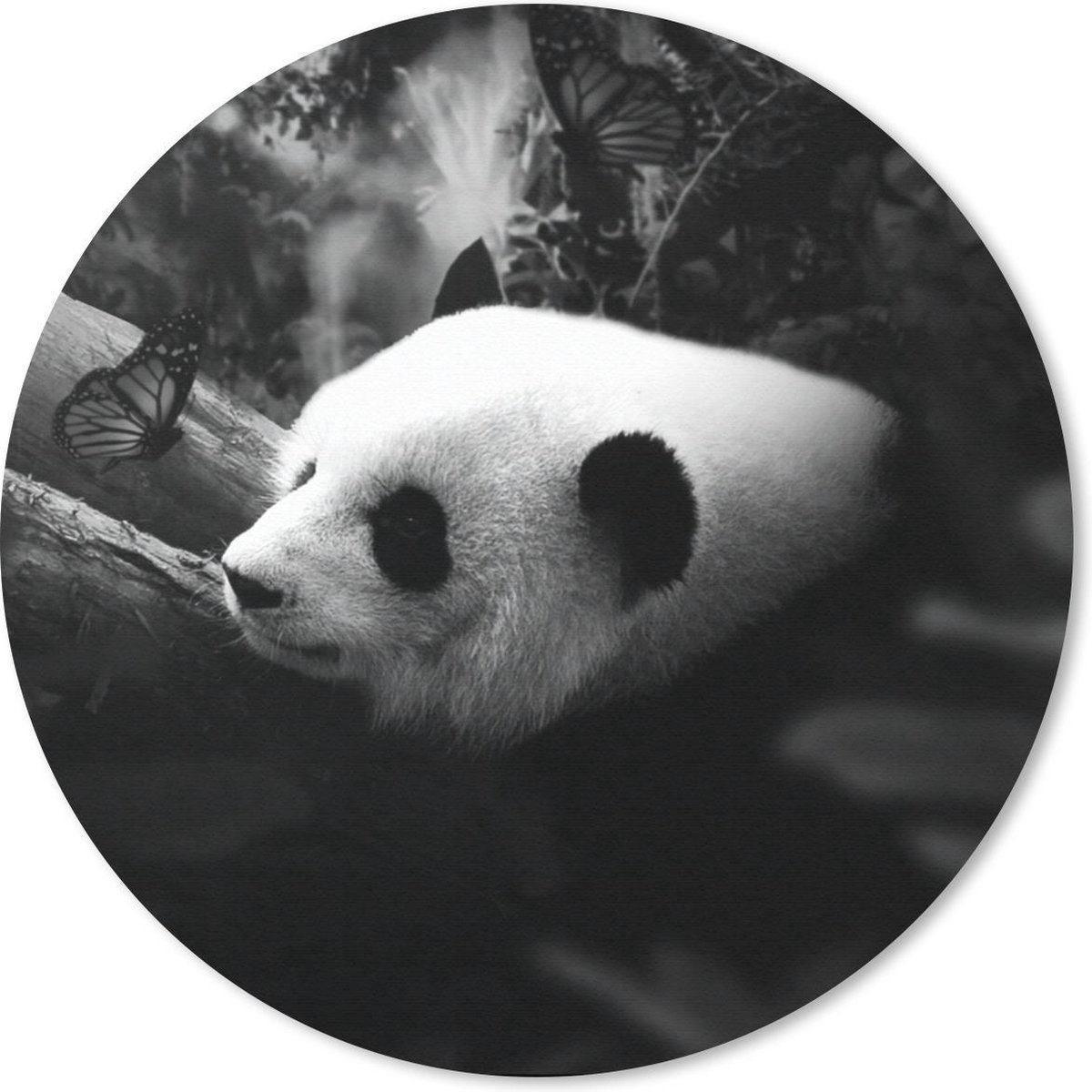 Muismat rond 40x40 cm - Mousepad Dieren - Jungle - Panda - Zwart - Wit - Ronde muismatten