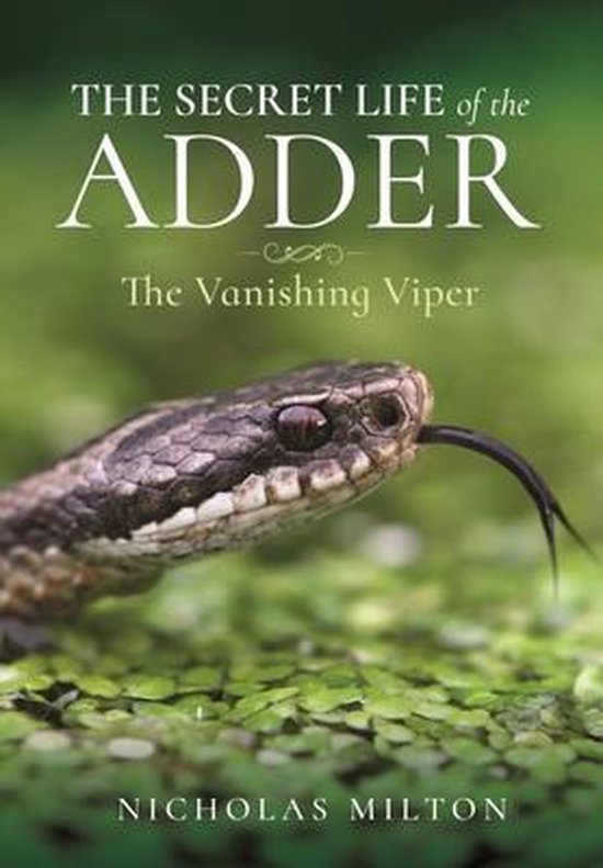 The Secret Life of the Adder - cover