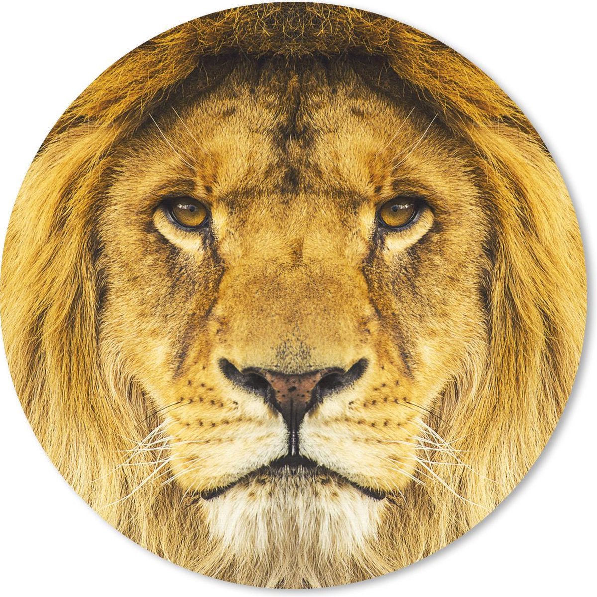 Muismat rond 50x50 cm - Mousepad Leeuw - Portret - Bruin - Ronde muismatten
