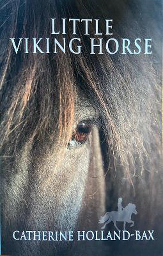 Little Viking Horse - cover