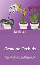 Growing Orchids