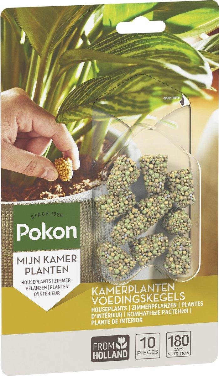 Pokon Kamerplanten Voedingskegels - 6x10st - Plantenvoeding - 6 maanden voeding