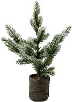 House of Nature Kerstboom in pot 37cm