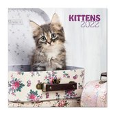 Katten kalender 2023 - kittens - formaat 30 x 30 cm