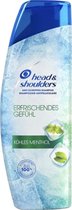 head&shoulders 300ml