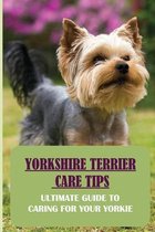 Yorkshire Terrier Care Tips: Ultimate Guide To Caring For Your Yorkie