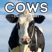 Cows Calendar 2022