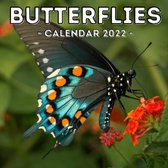 Butterflies Calendar 2022