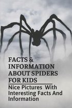 Facts & Information About Spiders For Kids: Nice Pictures With Interesting Facts And Information