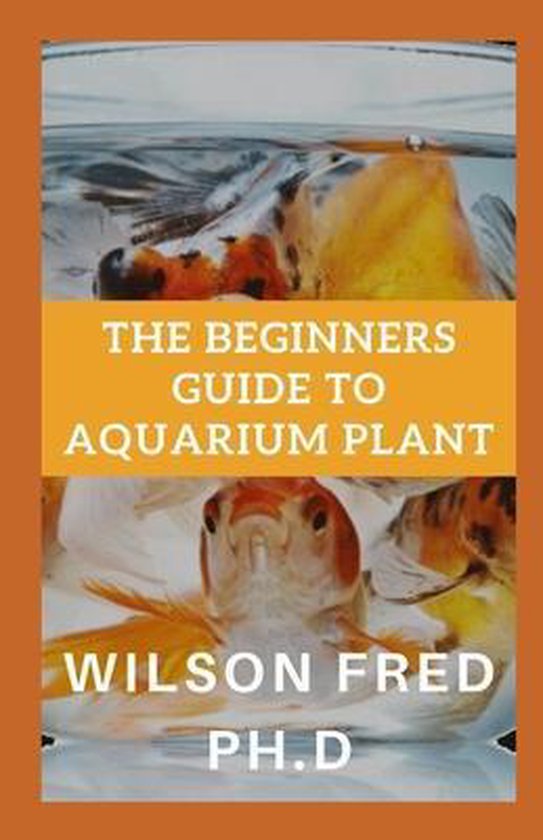 The Beginners Guide To Aquarium Plant