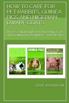 How to Care for Pet Rabbits, Guinea Pigs and Nigerian Dwarf Goats