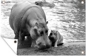 Tuindecoratie Nijlpaard in het water - zwart wit - 60x40 cm - Tuinposter - Tuindoek - Buitenposter