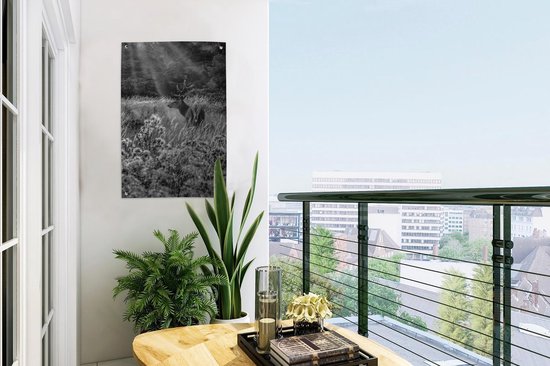 Décoration de jardin Orignal entre fleurs enneigées - noir et blanc - 40x60 cm - Poster jardin - Toile jardin - Poster extérieur