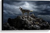 Canvas  - Huilende Wolf op Rots - 60x40cm Foto op Canvas Schilderij (Wanddecoratie op Canvas)