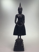 Thai Boeddha staand op lotusbloem
