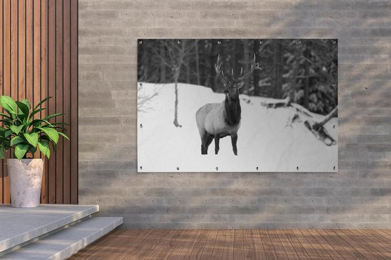 Décoration murale Cerf dans la neige - noir et blanc - 180x120 cm - Poster jardin - Toile jardin - Poster extérieur