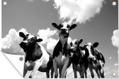 Tuinposter - Tuindoek - Tuinposters buiten - Vier Friese koeien onder een bewolkte hemel - zwart wit - 120x80 cm - Tuin