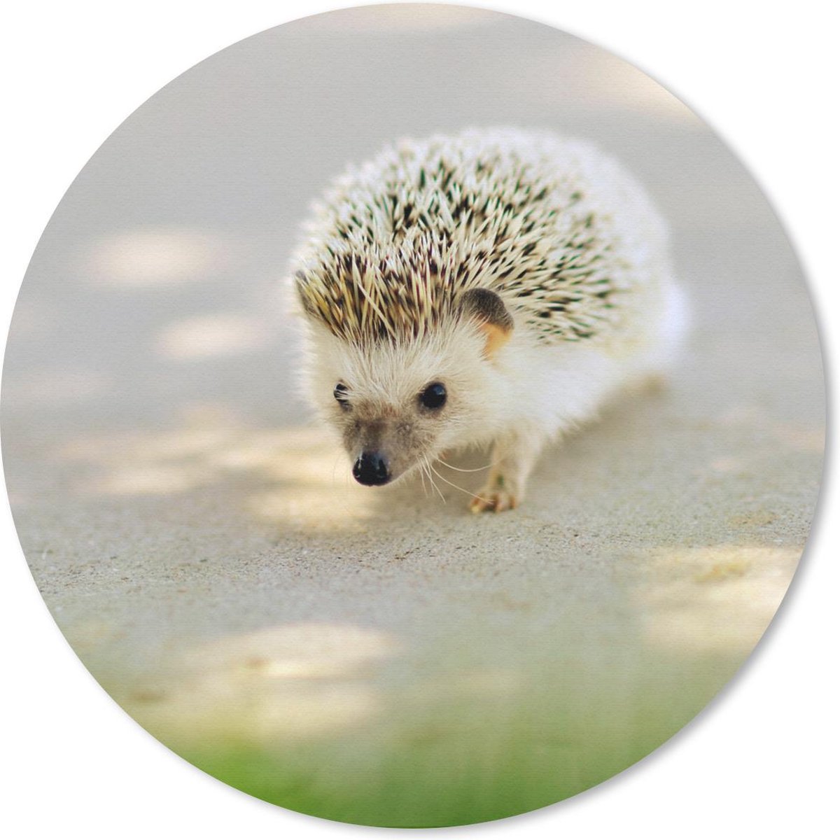 Muismat rond 30x30 cm - Mousepad Egel - Pad - Gras - Ronde muismatten