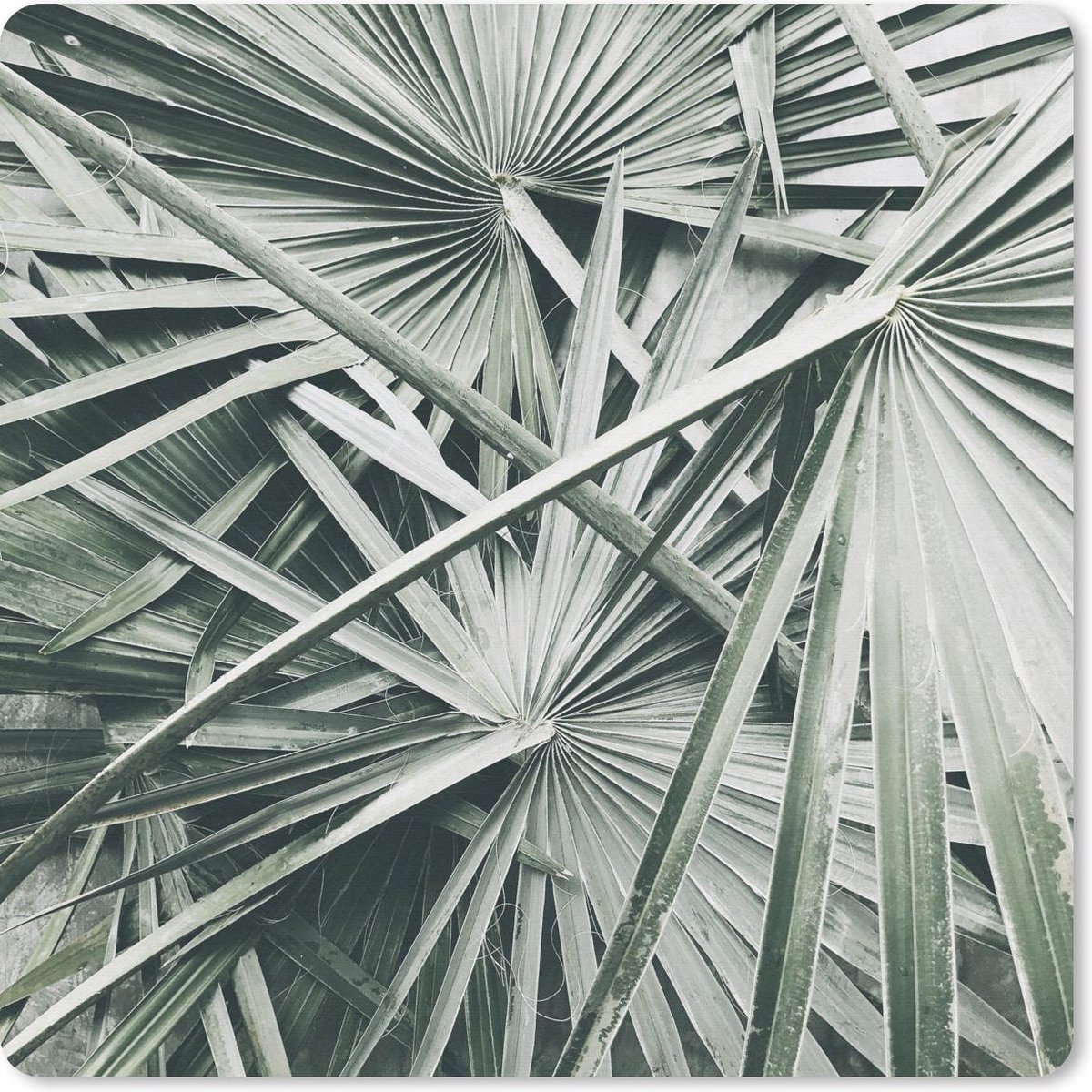 Muismat 30x30 cm - Mousepad Tropical - Palmblad - Groen - Muismatten