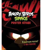Angry Birds Space Poster Kitabı