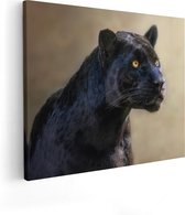 100 cm x 80 cm