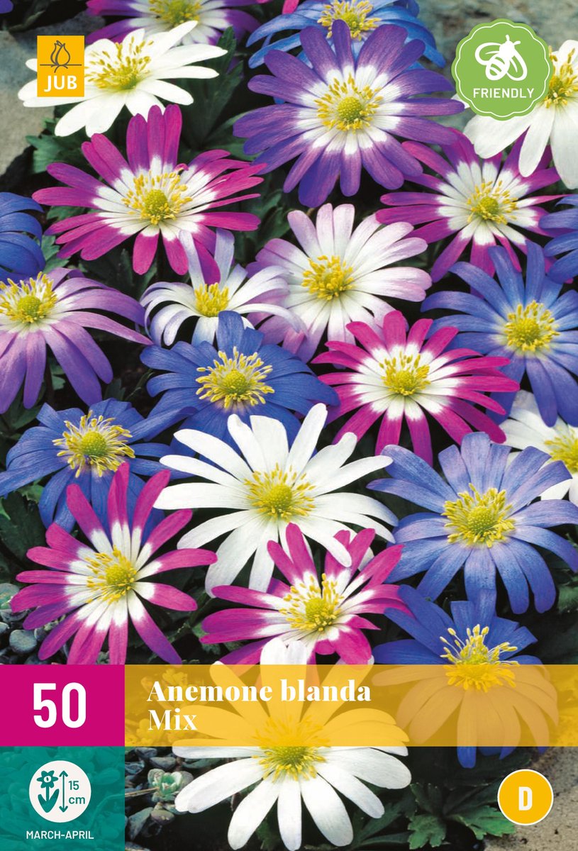 Jub Holland - bloembollen - Anemone/Anemoon Blanda Mix - maat 4/5 - 30 stuks
