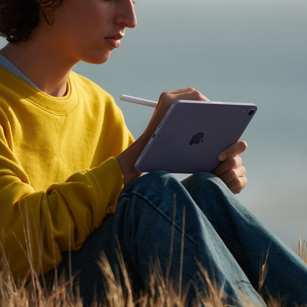 Apple iPad mini 6 (2021) - 8.3" WiFi+5G 256GB Sterrenlicht