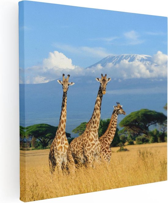 Artaza - Canvas Schilderij - Drie Giraffes In De Savanne - Foto Op Canvas - Canvas Print