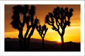 Walljar - Palm Trees At Sunset - Muurdecoratie - Canvas schilderij