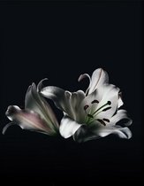 Walljar - Witte Lelies - Zwart wit poster