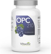 OPC DRUIVENPITEXTRACT, met 105 mg echte OPC per capsule, de sterkste antioxidant in maximale dosering, ogen, gewrichten en mentale vitaliteit (100 capsules)