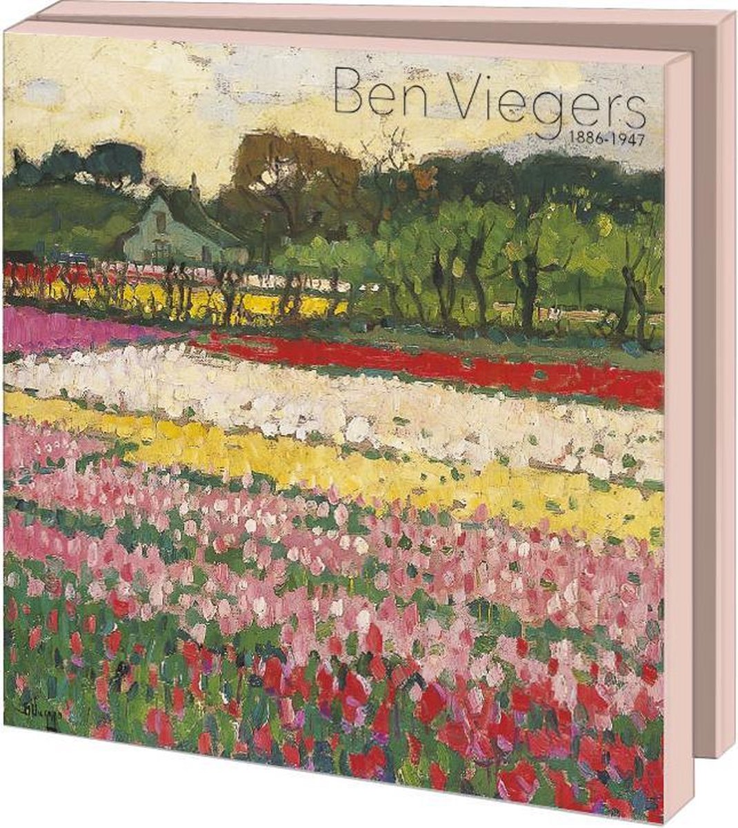 Bekking & Blitz - Kaartenmapje - Set wenskaarten - Museumkaarten - Kunstkaarten - Inclusief enveloppen - Tulpen - Tulpenvelden - Ben Viegers - Museum De Zwarte Tulp