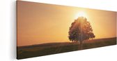 Artaza Canvas Schilderij Zonsondergang Achter Een Grote Boom - 90x30 - Foto Op Canvas - Canvas Print