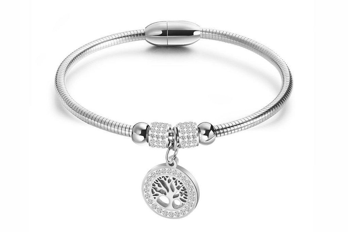 Di Lusso - Armband Nore - Stainless Steel - Zilverkleurig - Dames