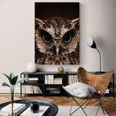 Poster Owl - Dibond - Meerdere Afmetingen & Prijzen | Wanddecoratie - Interieur - Art - Wonen - Schilderij - Kunst
