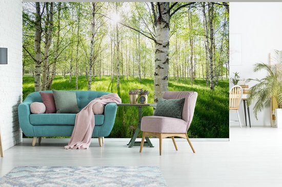 Papier peint - Papier peint photo Bouleau - Forêt - Printemps - Largeur 450 cm x hauteur 300 cm