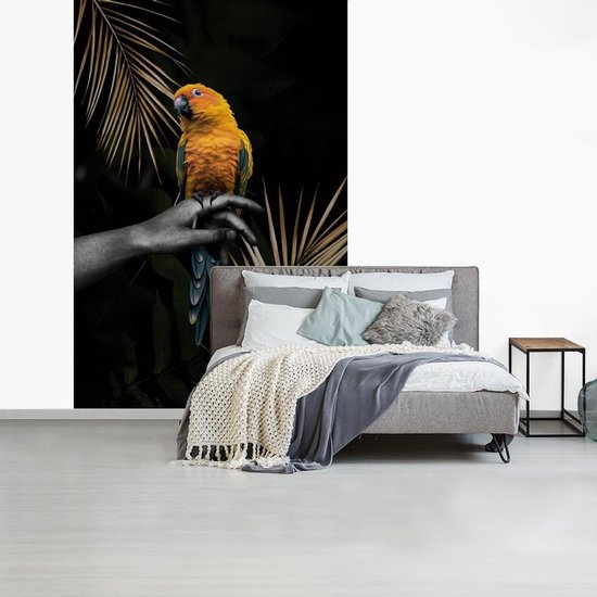 Fond d' écran - Papier peint photo - multicolore oiseau sur une main et fond noir - Largeur 195 cm x hauteur 300 cm