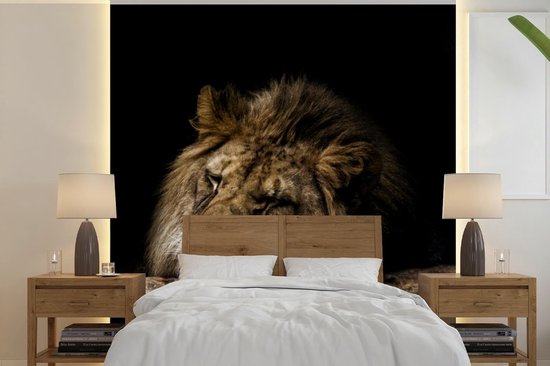 Papier peint - Papier peint photo Lion - Arbre - Marron - Largeur 350 cm x hauteur 350 cm