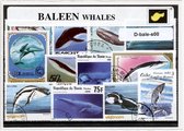 Baleinwalvissen – Luxe postzegel pakket (A6 formaat) : collectie van verschillende postzegels van baleinwalvissen – kan als ansichtkaart in een A6  envelop - authentiek cadeau - ka