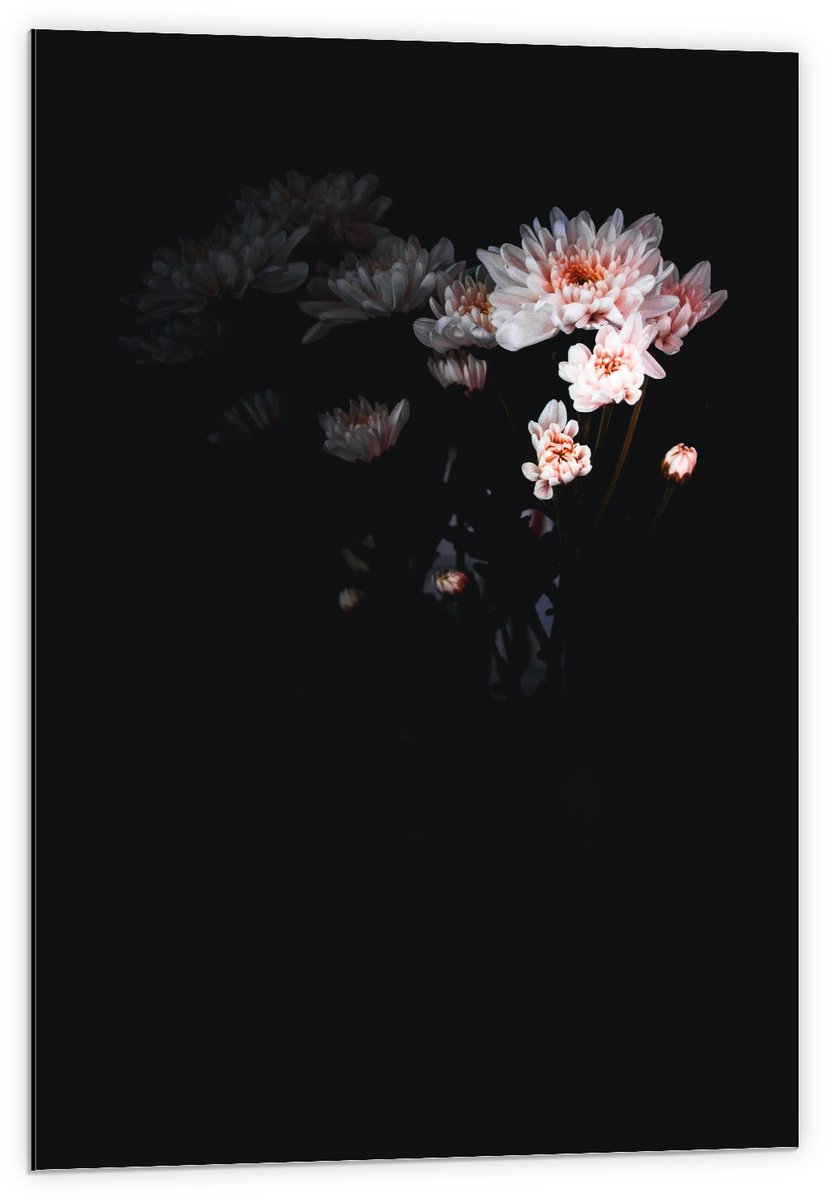 KuijsFotoprint Dibond - Bloemboeket met Schaduw - 60x90cm Foto op Aluminium (Met Ophangsysteem) Wit