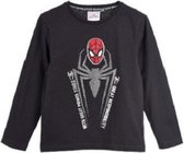 Marvel - Spider-Man - longsleeve shirt - 100% jersey katoen - Grijs - maat 98