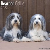 Bearded Collies 2022 - 18-Monatskalender mit freier DogDays-